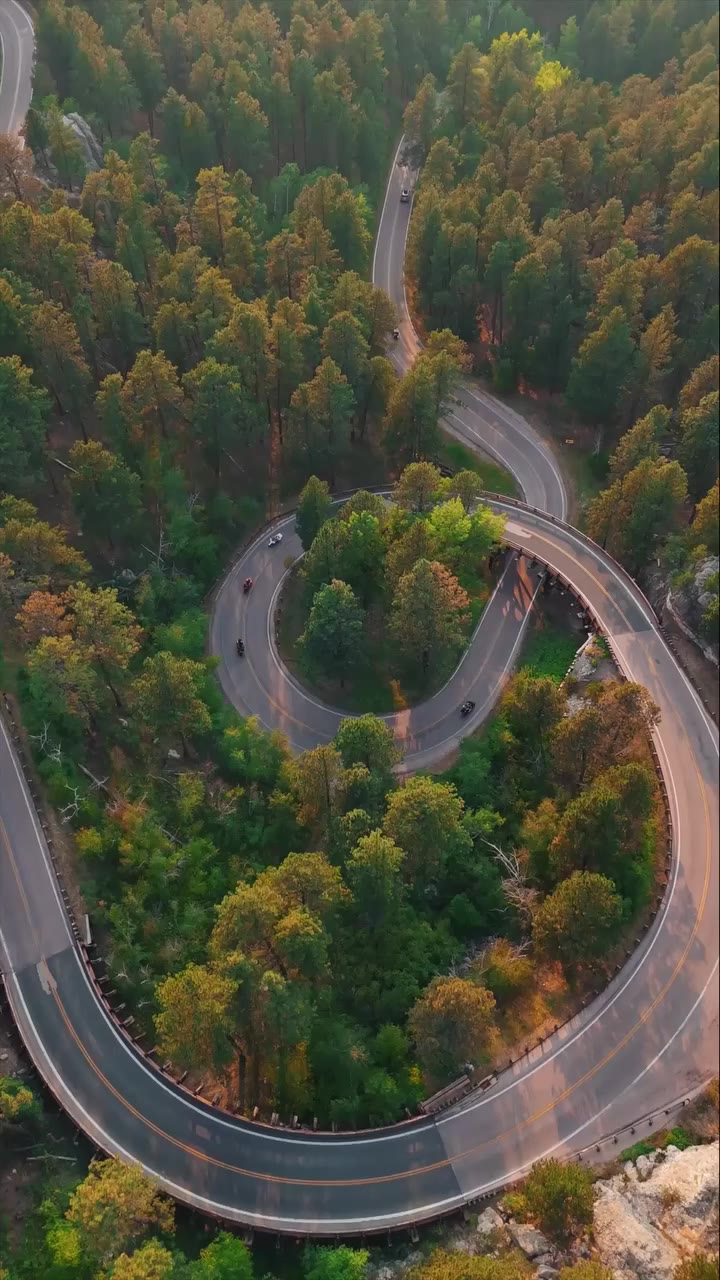 These are the routes you never forget. 🎬 @whereisyorick #HarleyDavidson