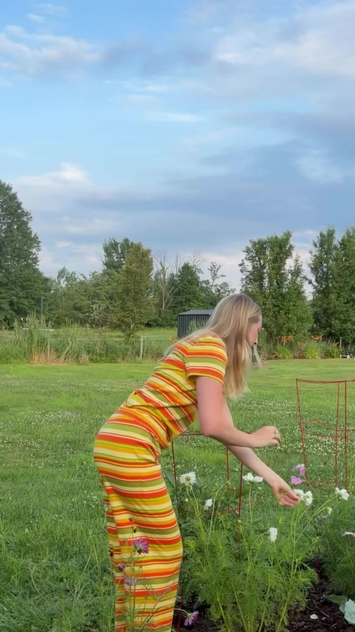 end of summer stripes 🌼☁️