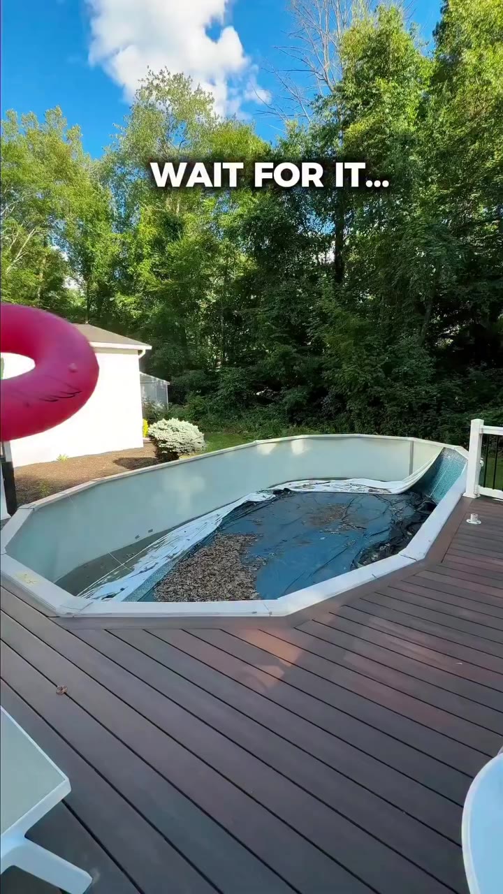 Check this out! 😍💦🌴🦩Nicest above ground pools in the game!!! @carvinpool…