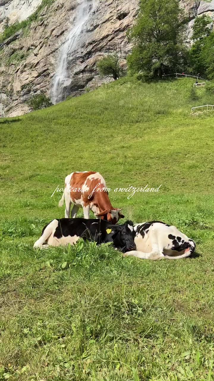 postcards from Switzerland — a little piece of the mountains, sent with love…