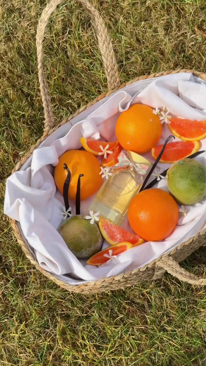 A fragrance that feels like a fresh start 🍊 Joy of Primrose surrounds the…