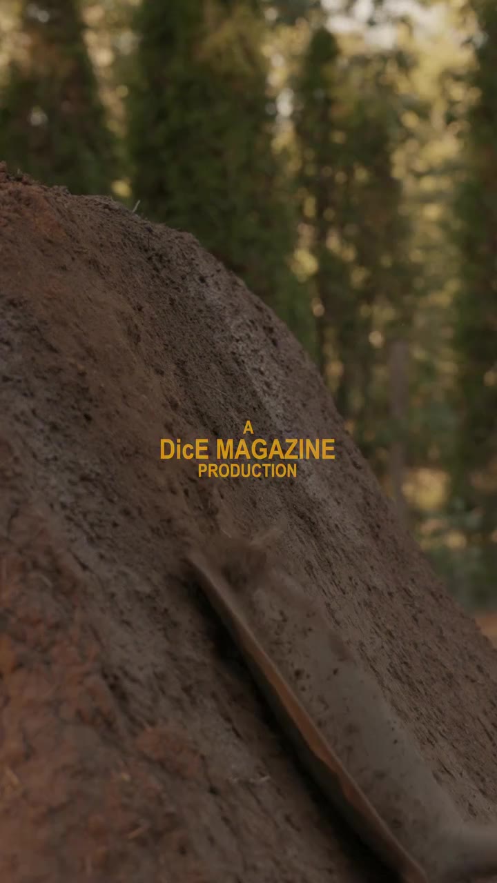 A little teaser from the DicE TV video featuring @nathantsykes Click the link…