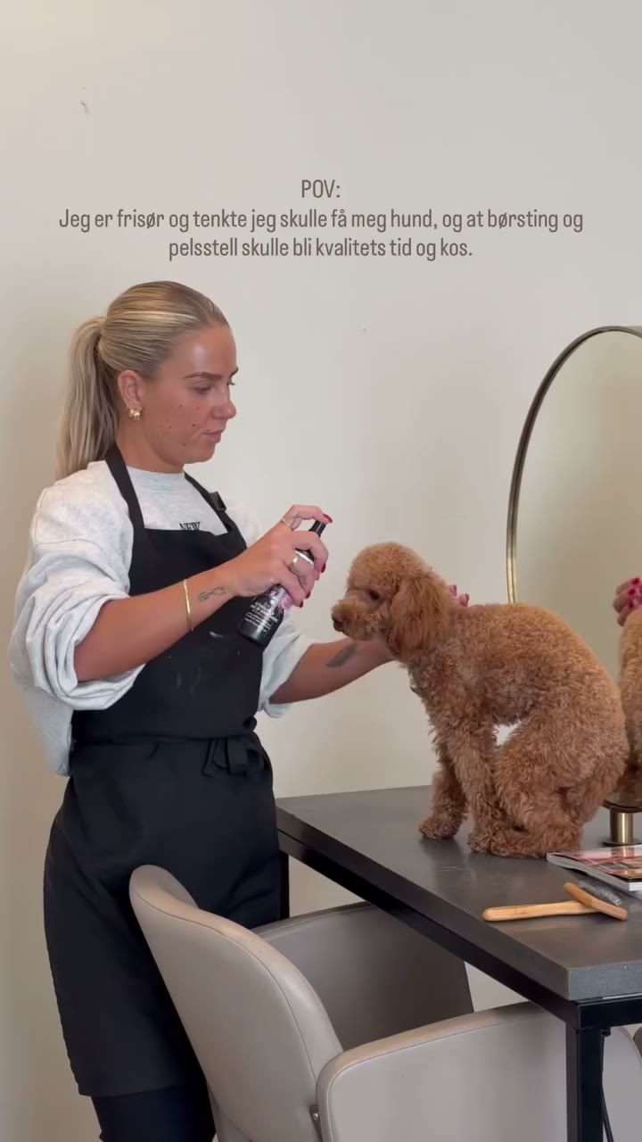 Planen var at det skulle bli koselig å få en hund som jeg kunne børste og kose…