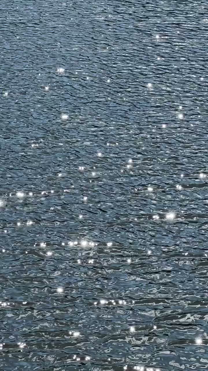 Fragments of August Always returning to the water 🌊