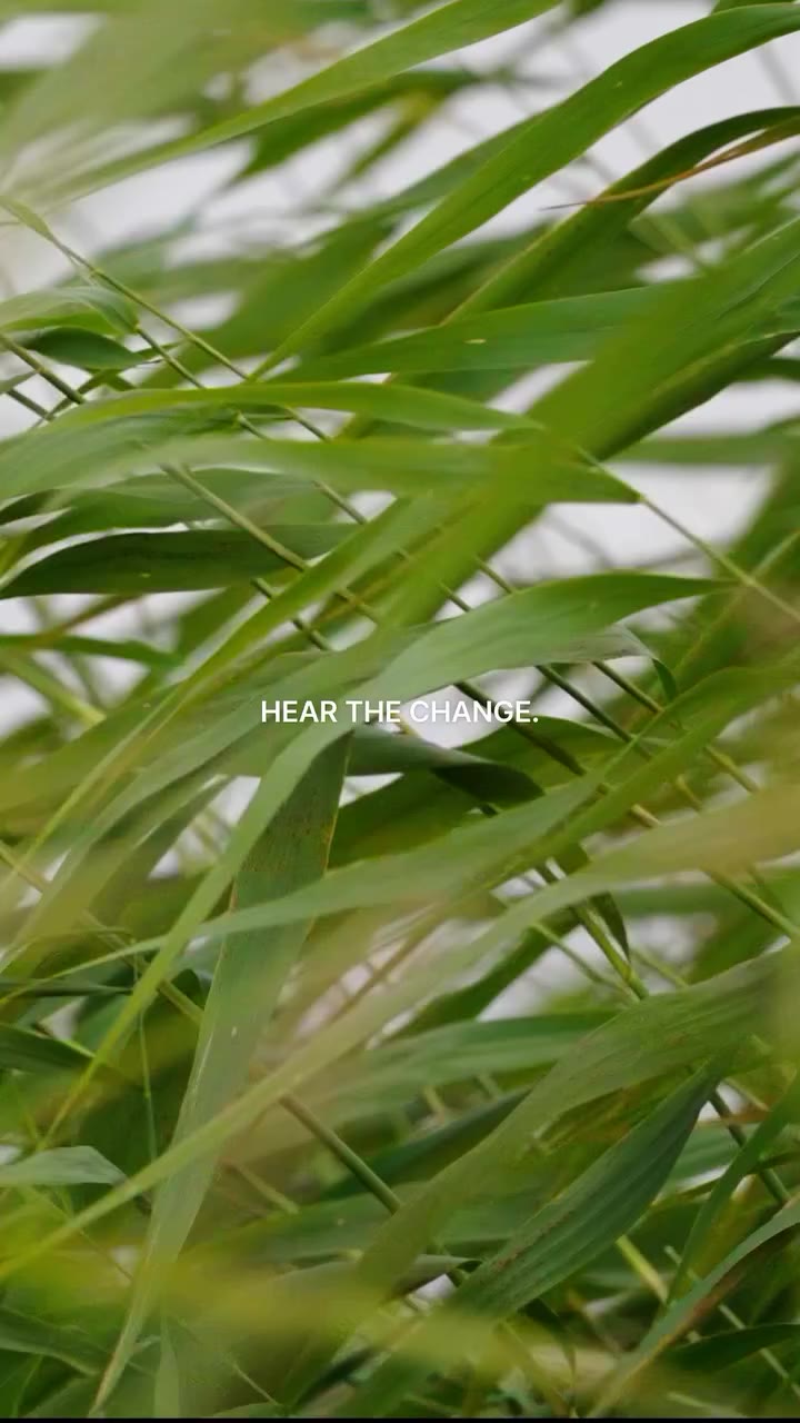 A NEW WAVE IS COMING 9월 11일, 인사일런스의 새로운 스토어를 선보입니다. HYUNDAI DEPARTMENT STORE…