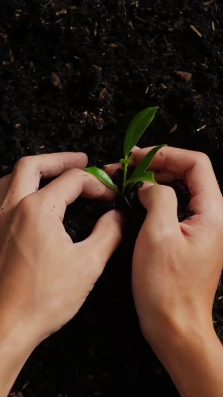 It started with a choice. Now, it’s taking root. The EarthTee 8.0 may have…
