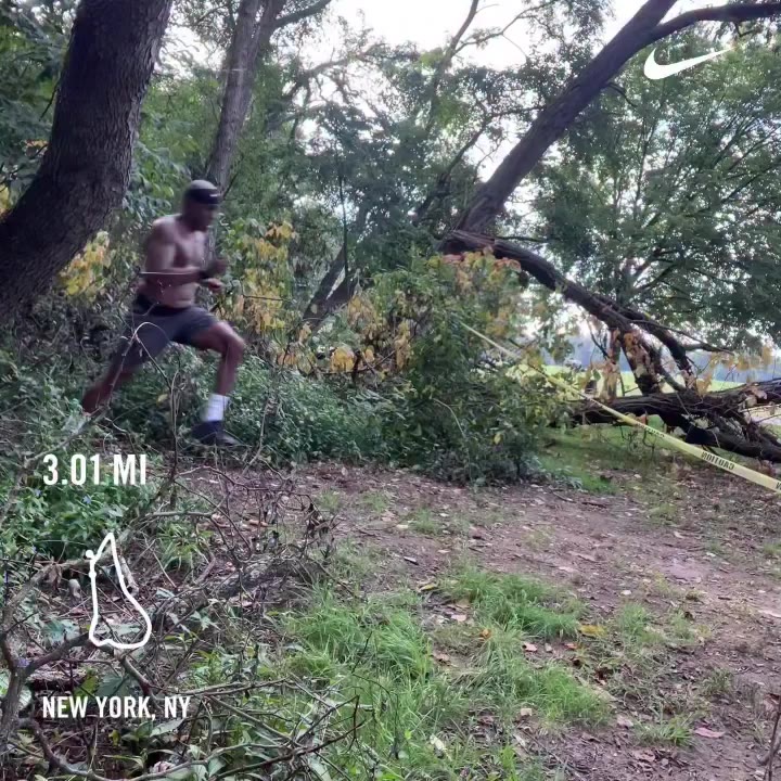 🌬️🪾🪵 🪾💨 🤜🏾💥🗿🗿💥🤛🏾 “…the impact’ll blow trees back and crack…