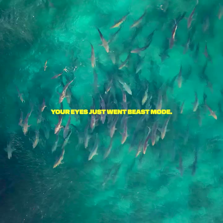 See beneath the surface with more colour, contrast and detail. The ocean looks…