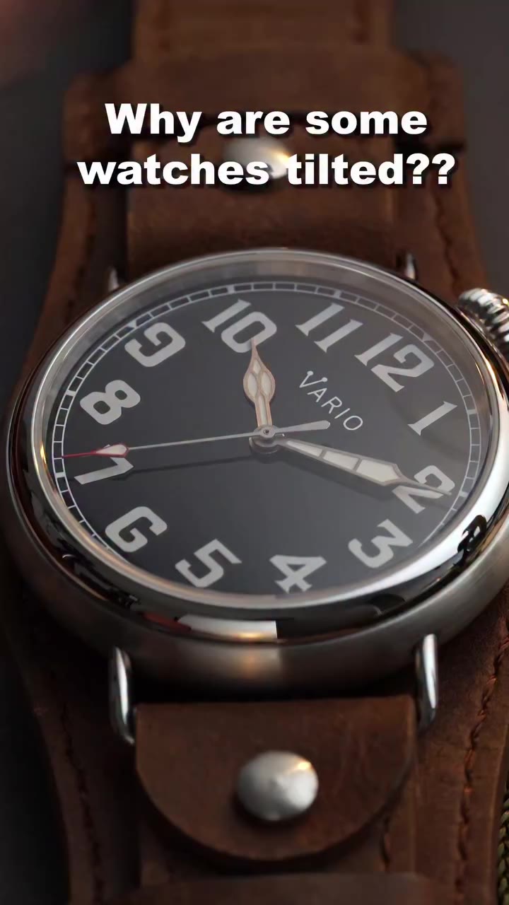 Vario 1918 Pilot