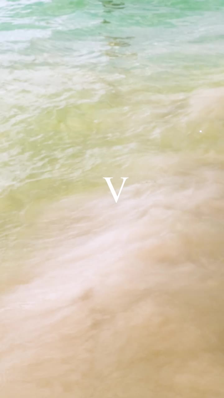 DAY V