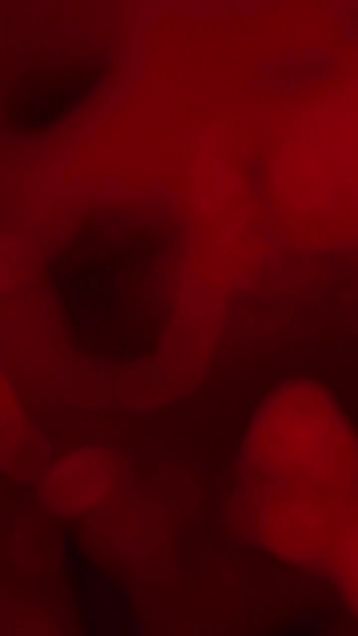 Forget everything you’ve heard about forbidden fruit. This is Lost Eden…