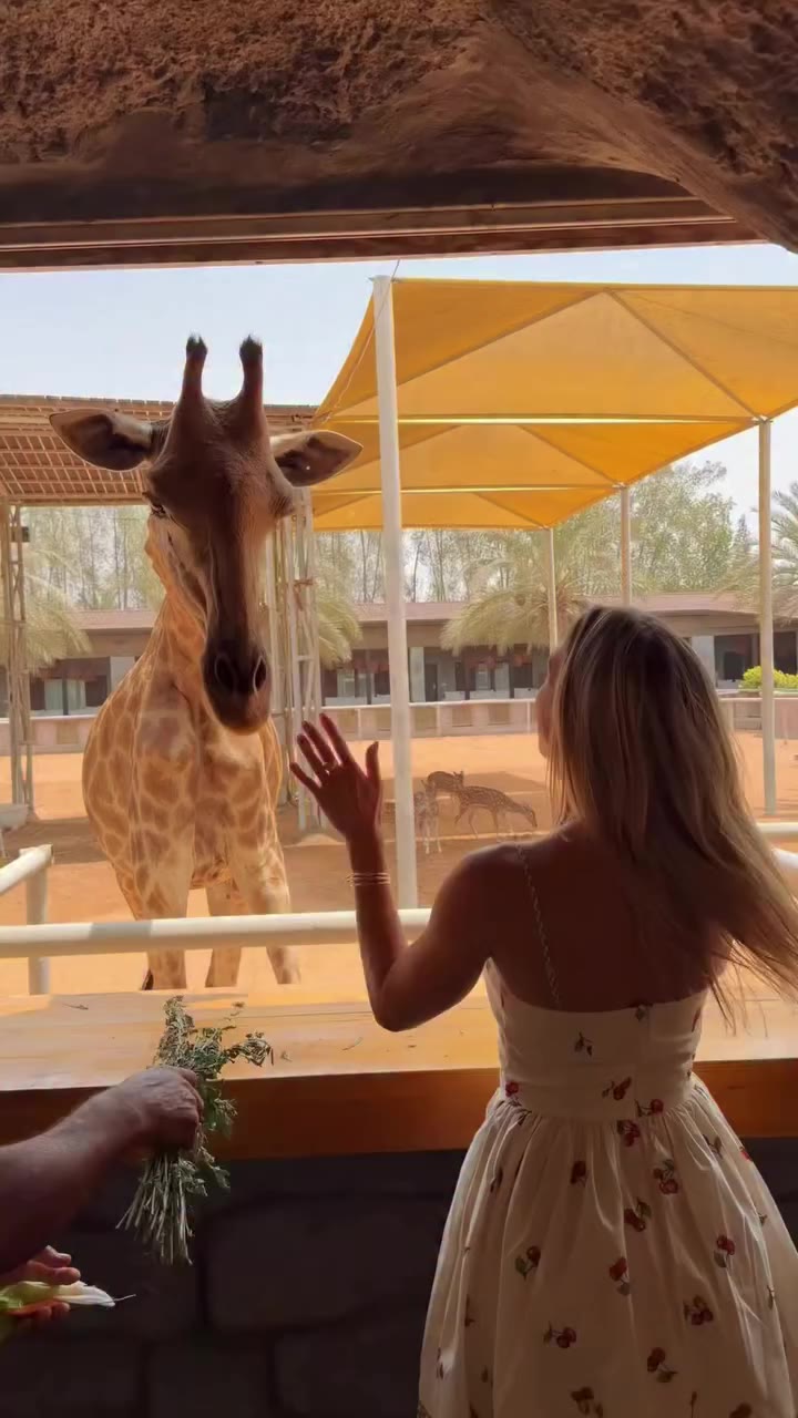 POV: When your new friend only likes you for the snacks 😂🦒 Some experiences…