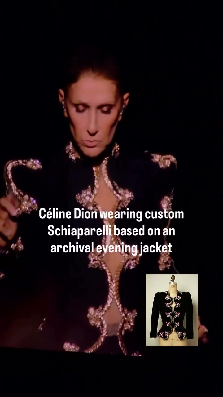 CÉLINE x SCHIAP Céline Dion at her concert in Paris wearing a custom…