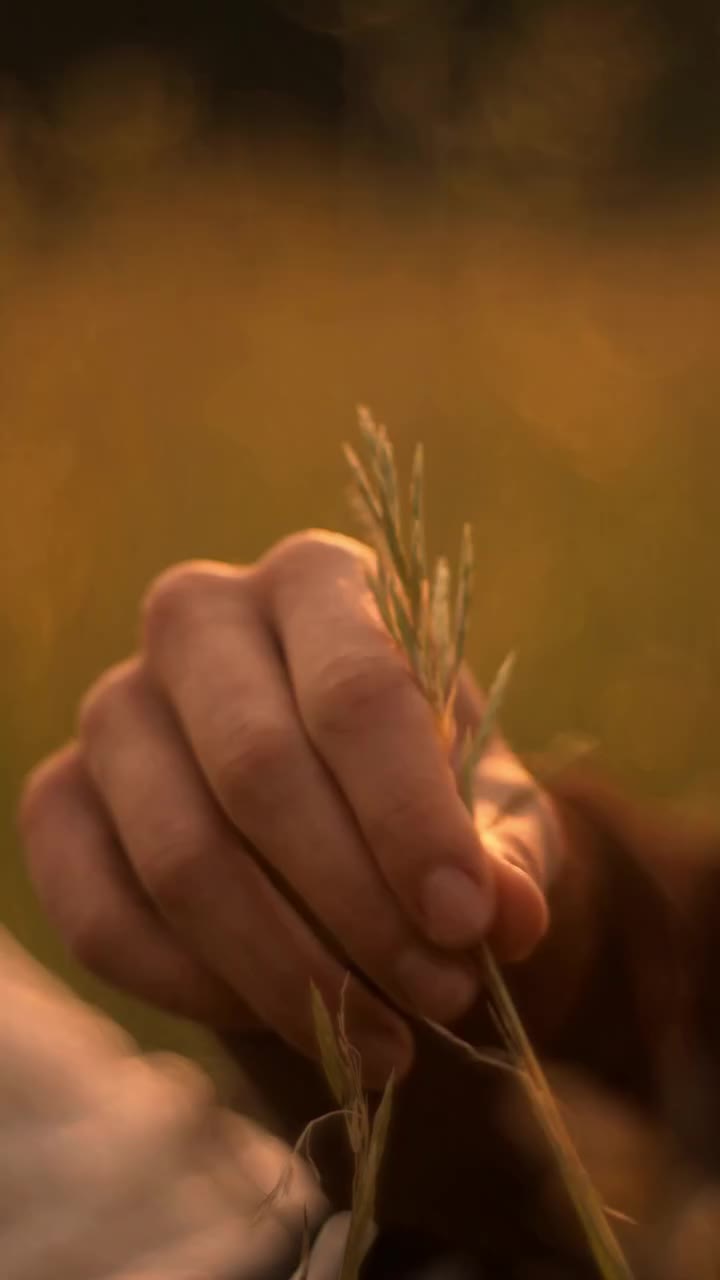 Fall feels like, smells like, looks like this.​