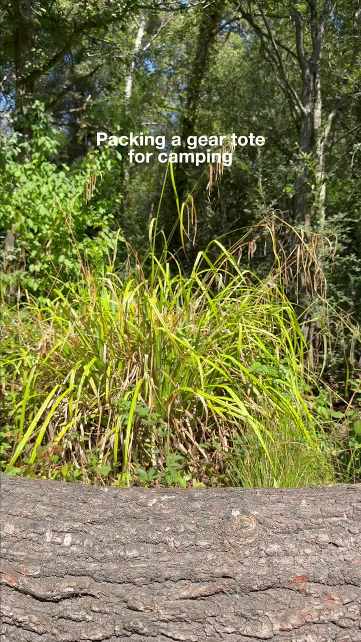 Camping plans mean gathering all the essentials 🏕️ A Transporter™ Gear Tote…