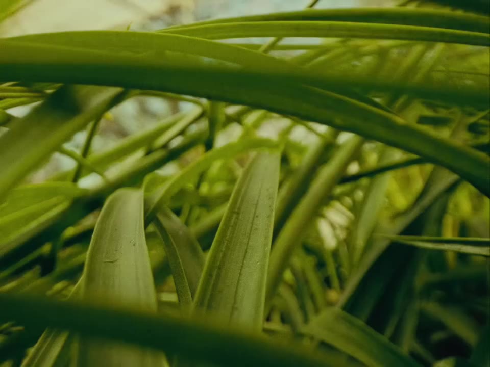 ASICS & Carnan | Path II Every partnership, just like in nature, needs to be…