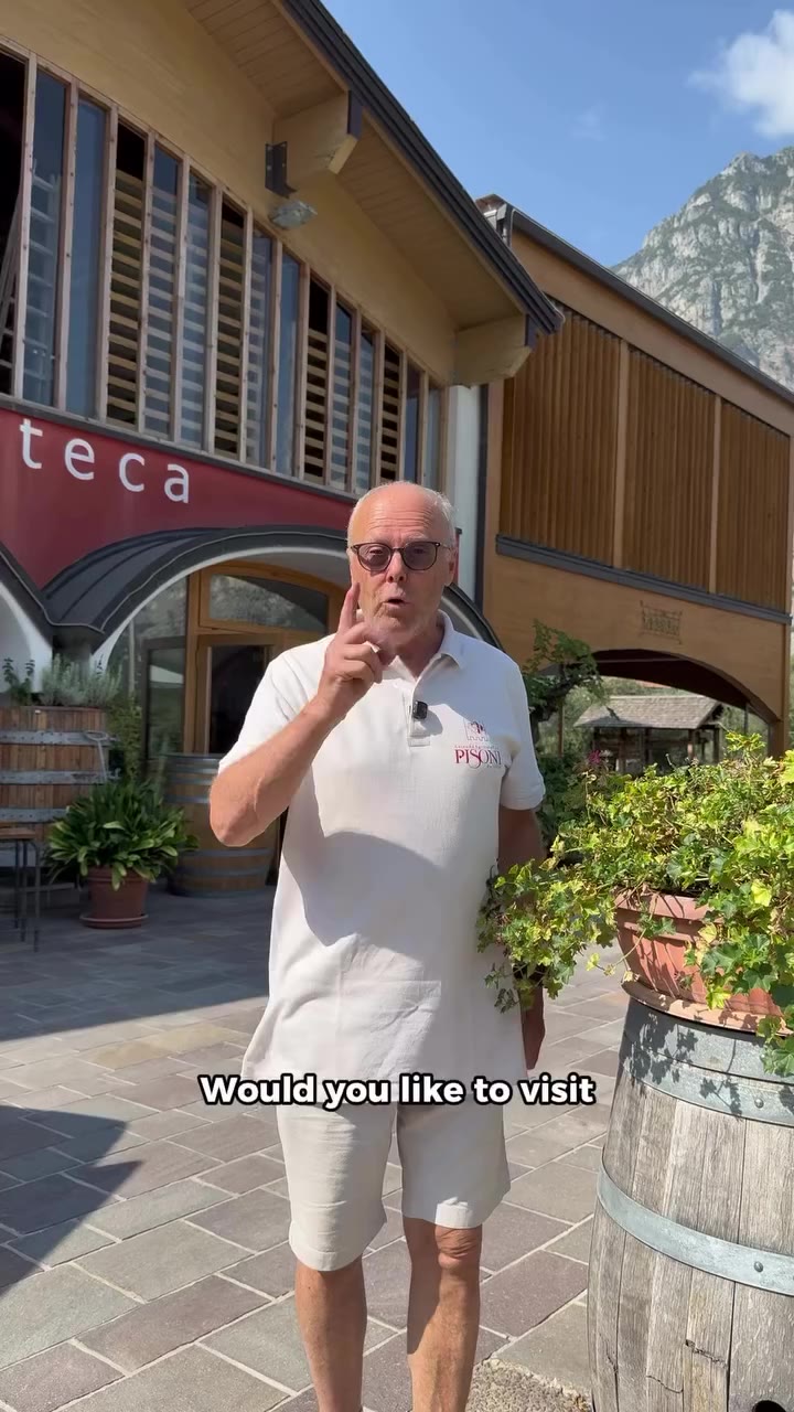 Vuoi scoprire le cantine della Valle dei Laghi senza guidare? Prendi Wine&Go…