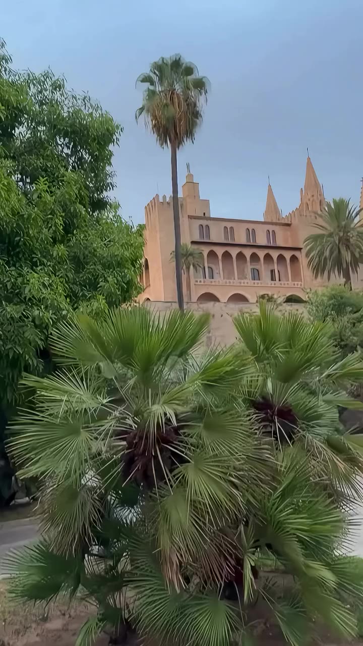 Hier in Palma gibt’s ja wirklich viele spannende Pflanzen, aber meine…