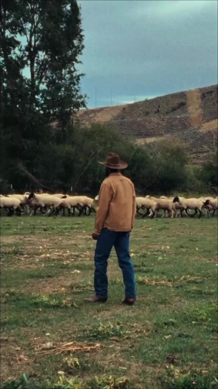 Open Range- 9/15/26