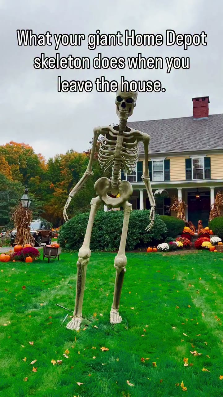 What your Home Depot skeleton does when you leave the house… 💀🍂 Still one of…