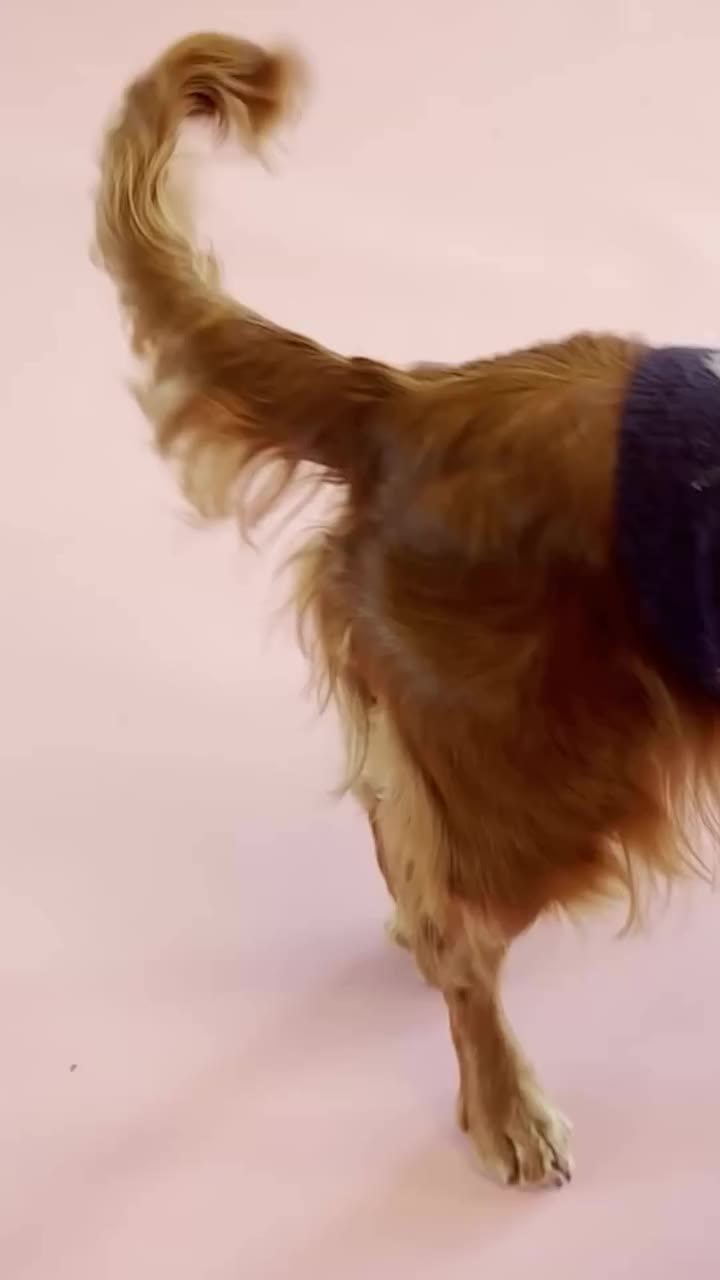 Sniffing around for any clues. Can you guess what’s coming up?