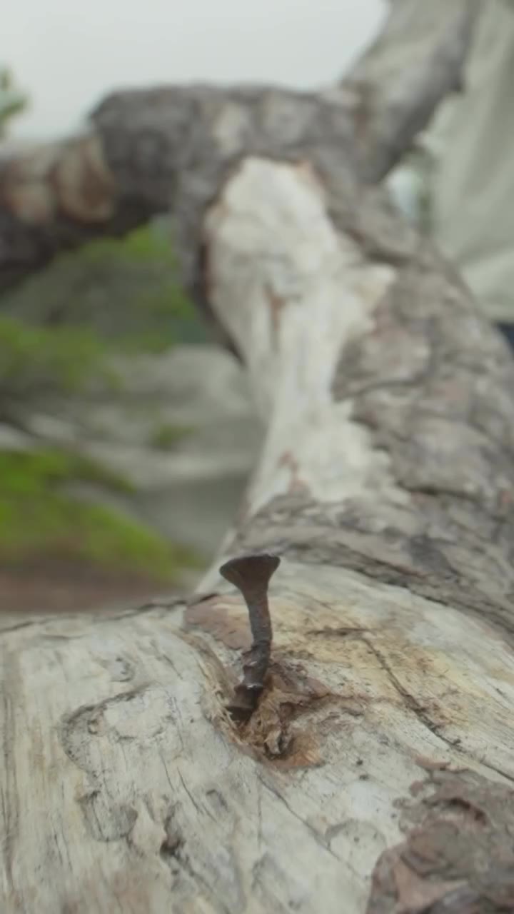Don’t let small tears fester. Get your gear repaired at Arc’teryx Whistler’s…