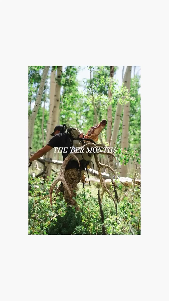 The best months of the year end in ‘ber The Yee Yee fall launch releases this…