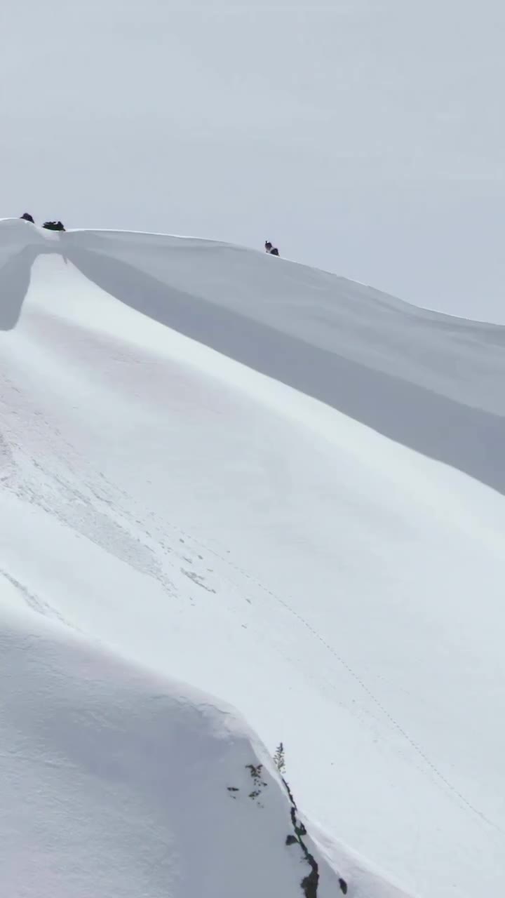 @david.meierr stacking lines back to back for Inside the Season.🔥 Check out…