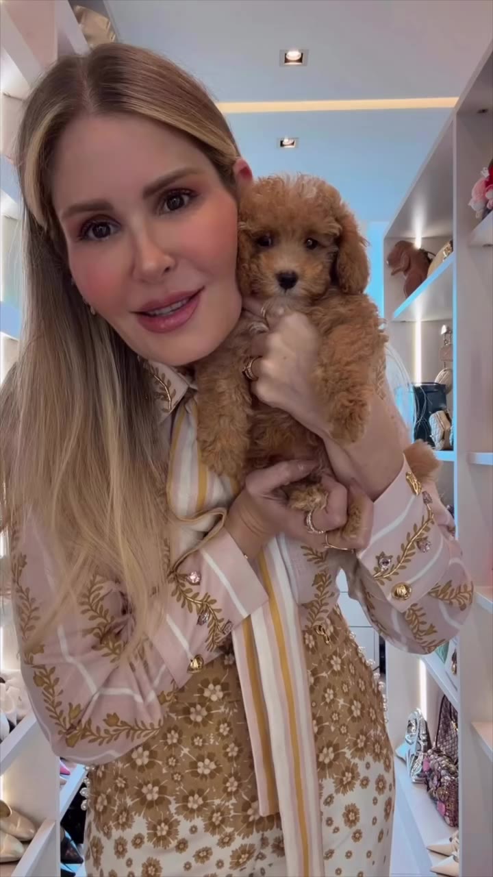 Soy abuela… tengo una Perri-Nieta llamada Brandi Wearing las top de las tops…