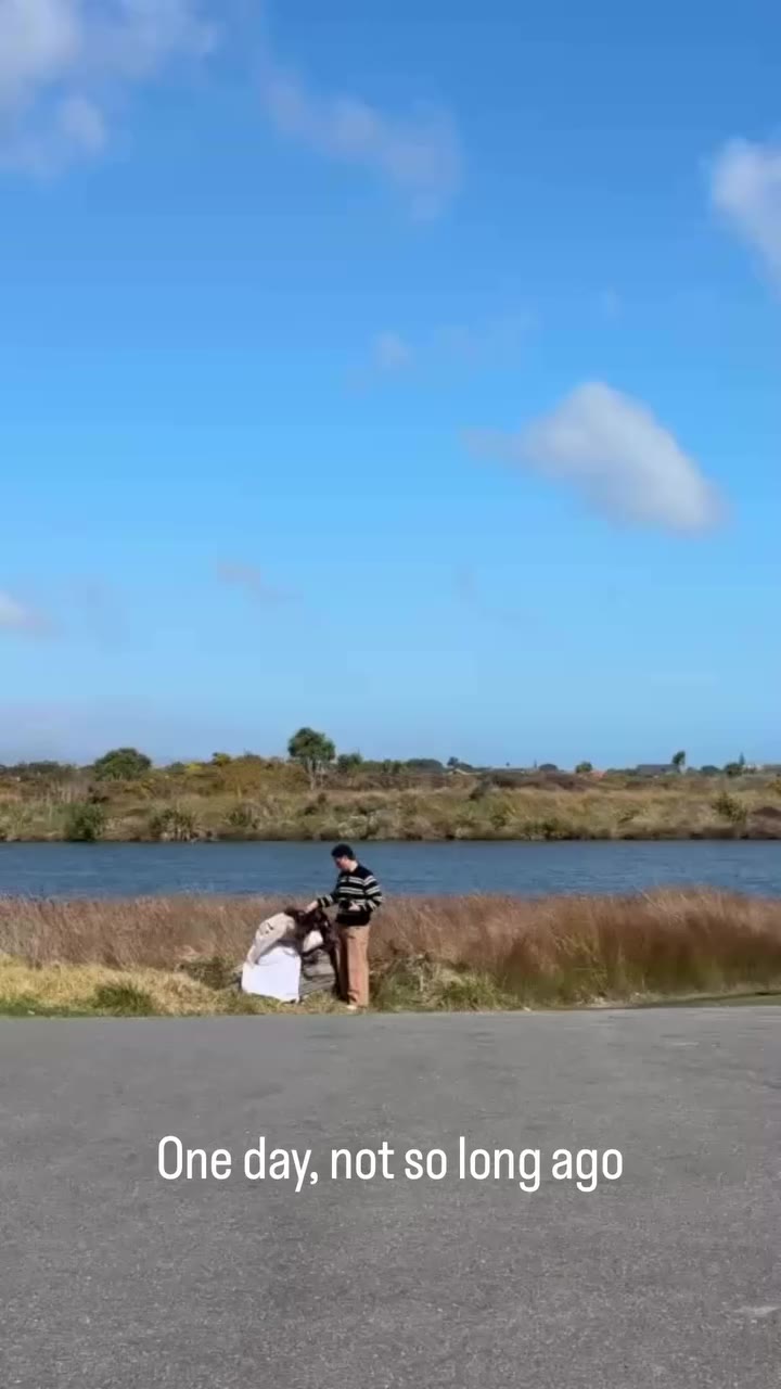 Who can name the Manu (birds) that appear or are heard in these clips 👌 Come…