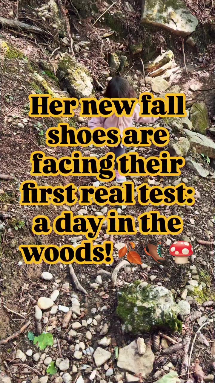 Little autumn adventures 🍂🍄 A day in the woods, a little mushroom hunting…