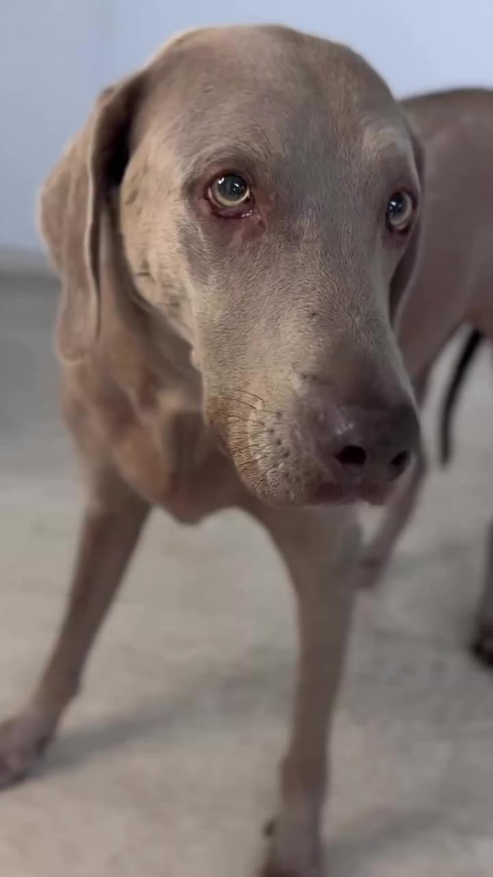 Werbung Mama, ernsthaft? Die Frage kannst du dir sparen. 😉 🐾 Ich weiß doch…