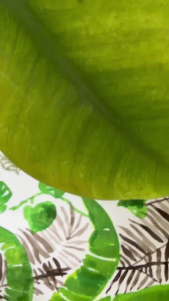 Searching for a tropical treat? Try this verdant, vertical print featuring…