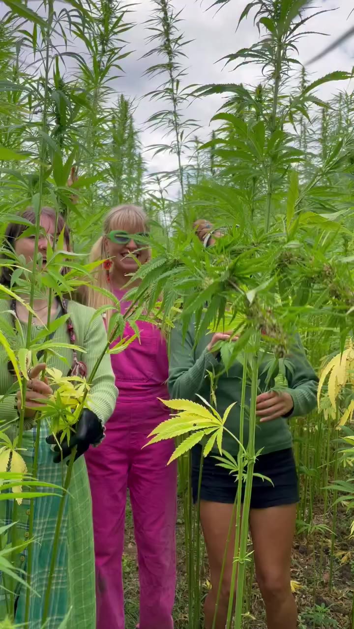 Hemp Harvest Retreat 2026! Let’s take a recap! #hemp #retreat #harvest…