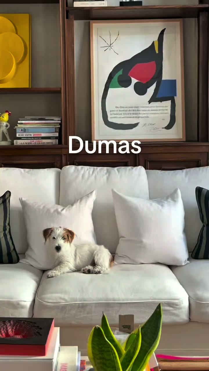 Os presentamos a DUMAS perrete y DUMAS bolso❤️ Los chicos nuevos en Mercules…