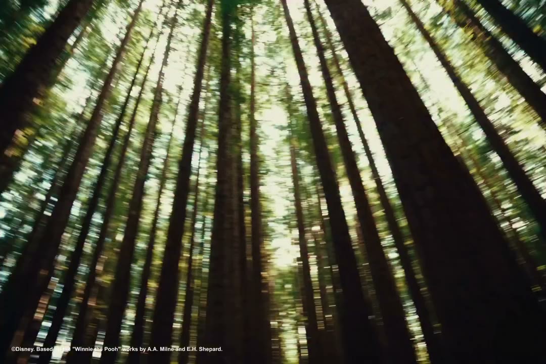 THE FOREST IS WAITING 🌳 Disney’s Winnie the Pooh and @REALISMCLO SEP 18 |…