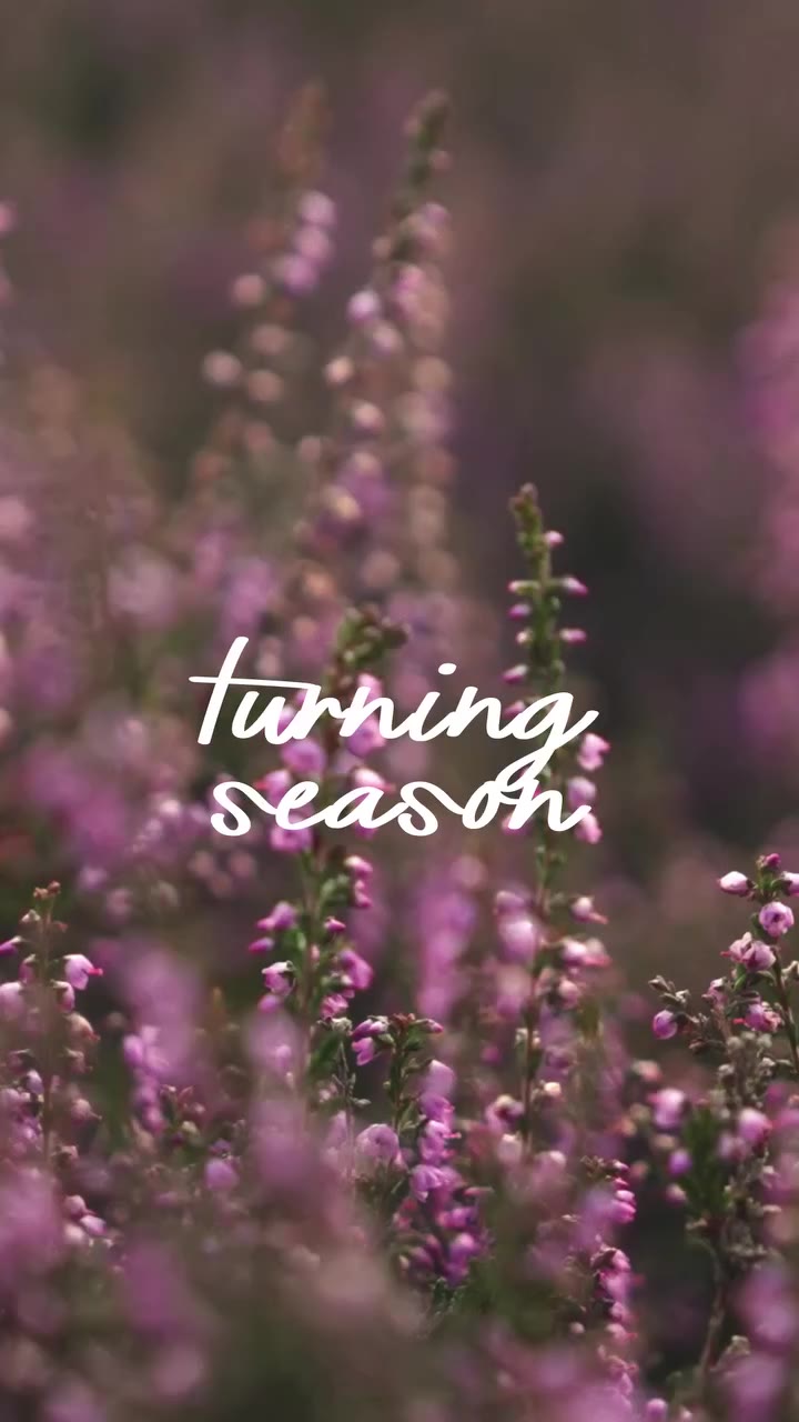 Where summer slowly turns to autumn.