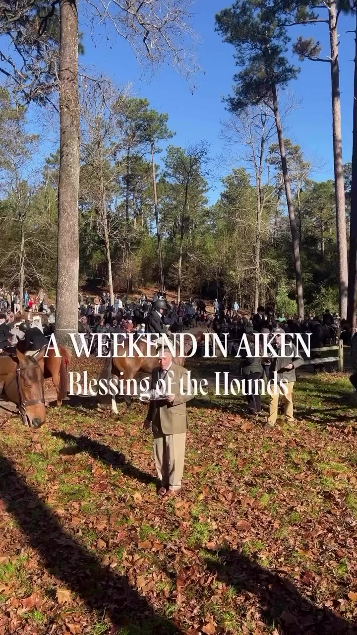 Why you should visit Aiken, South Carolina…. Century old traditions like the…