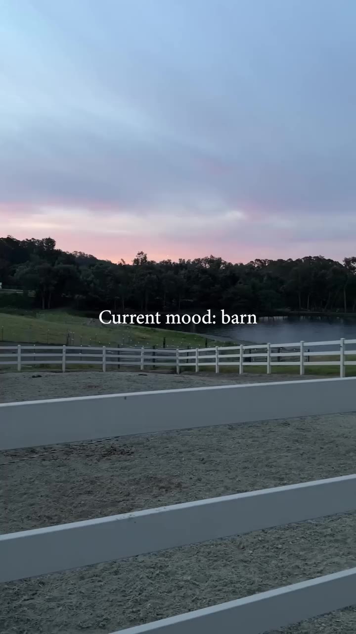 Good morning to those of us at the barn. 😉
