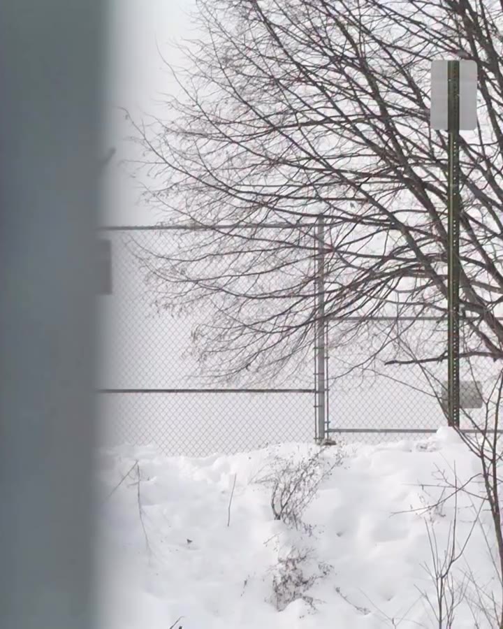 @concretesneaks’ ender clip from his part in LANDLINE. Find our full video…