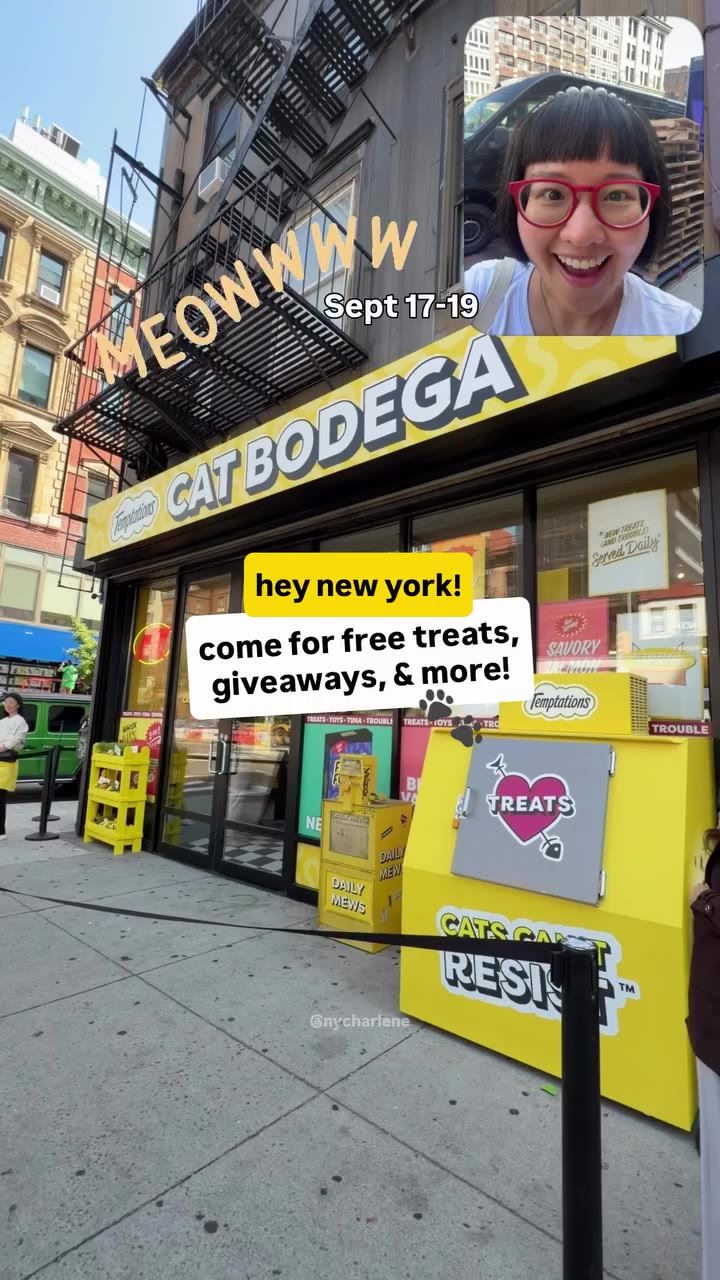 NYC CAT BODEGA 🐾 @temptationscats Hey New York! The first NYC Cat Bodega is…