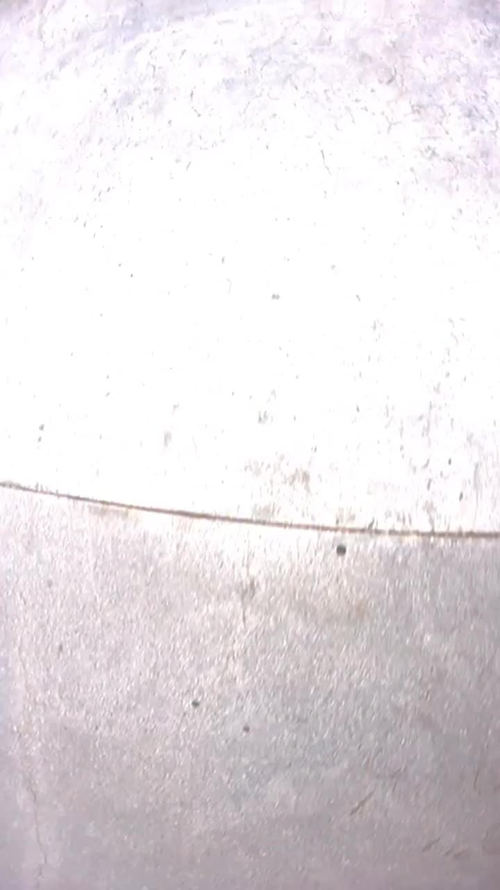 NOLLIE FLIP