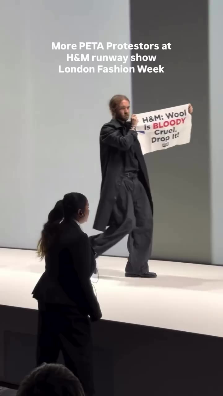 PETA protestors at the H&M runway show during London Fashion Week. Is wool…