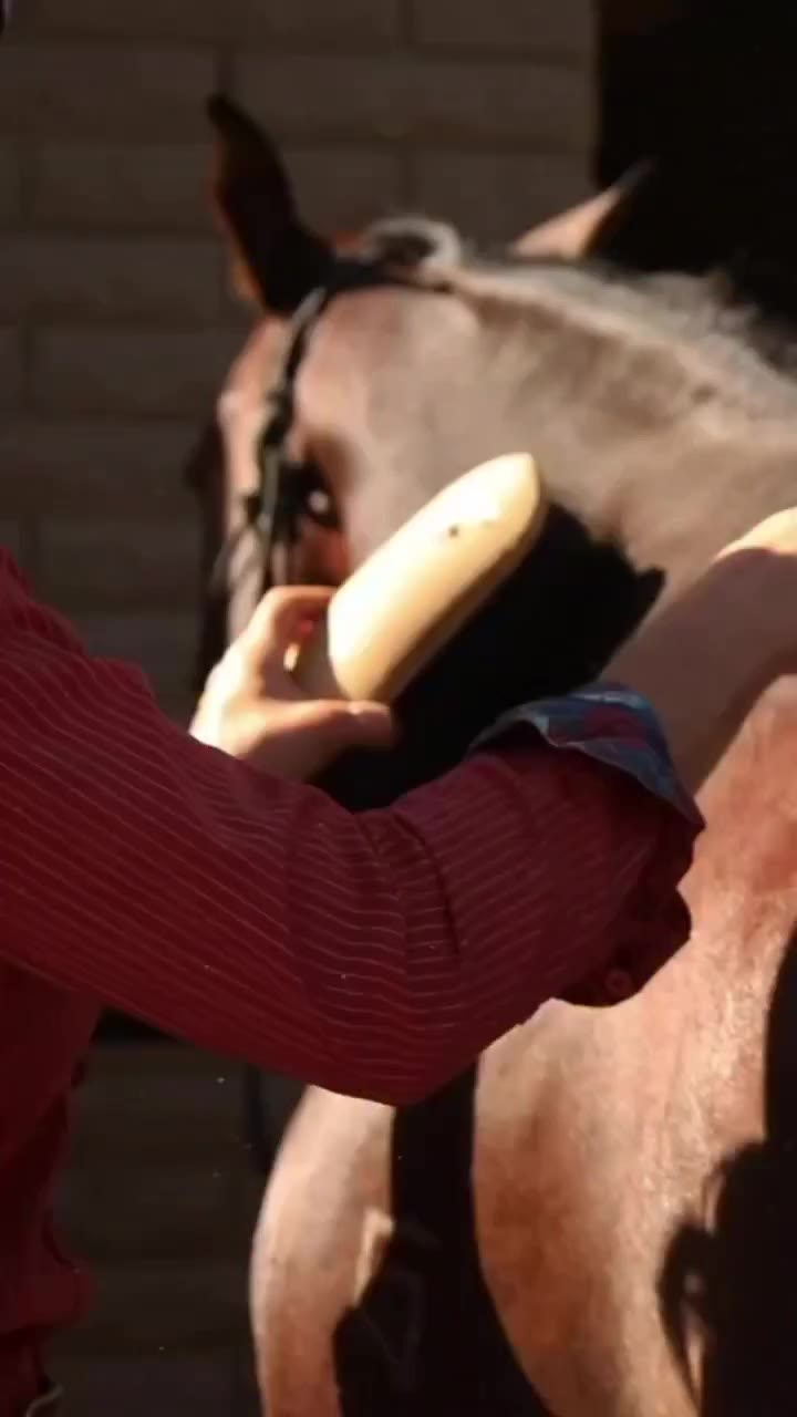 Motivation for the COWGIRLS ❤️ Video by @therodeotrail