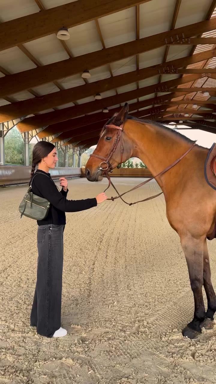 Discover the new Essenza Line 🐴❤️