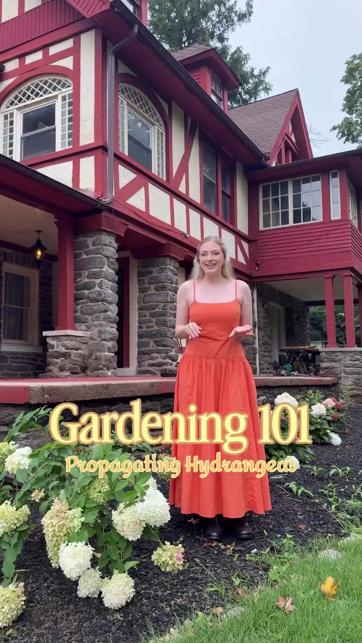 A little late summer gardening! I’m trying to propagate some of my…