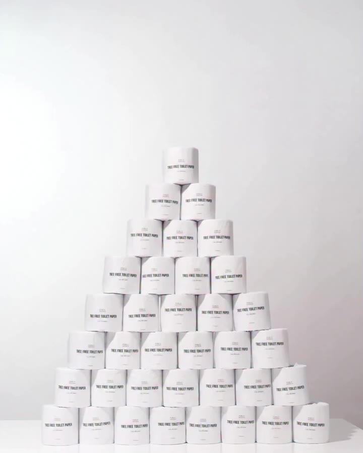 Happy World Bamboo Day🎋 Our Tree-Free Toilet Paper swaps wood pulp for…