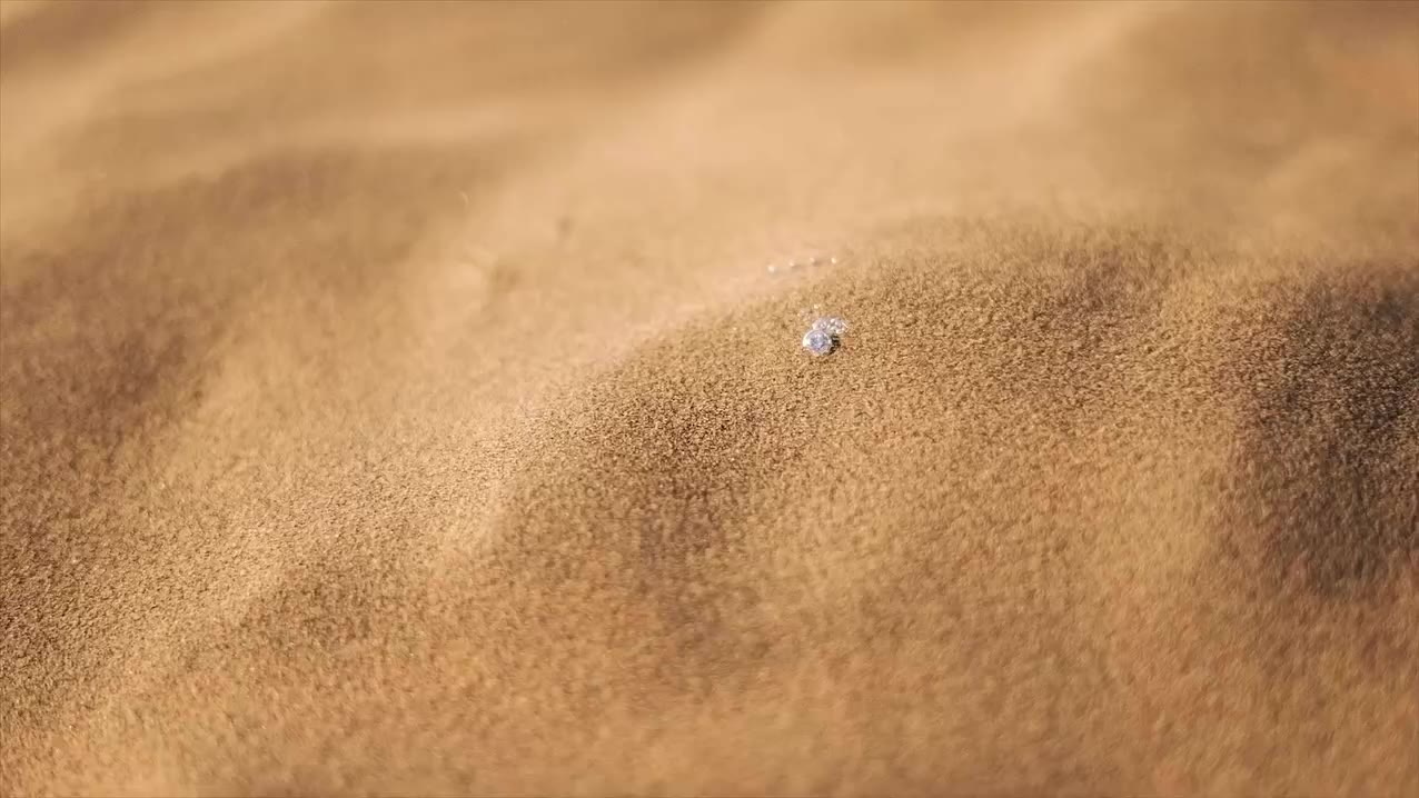Where the wind reshapes the sand, some things remain inseparable. The creator…