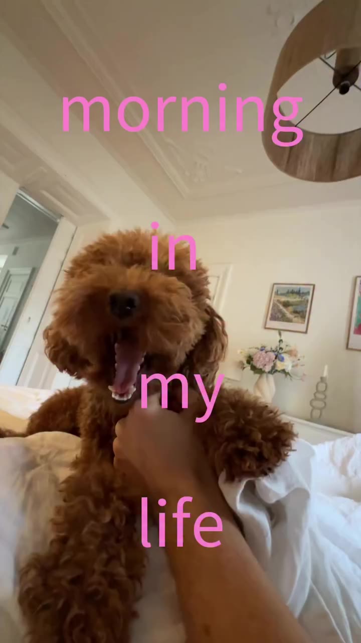 taking over mom’s insta today to show you MY morning in the life. if you’re a…