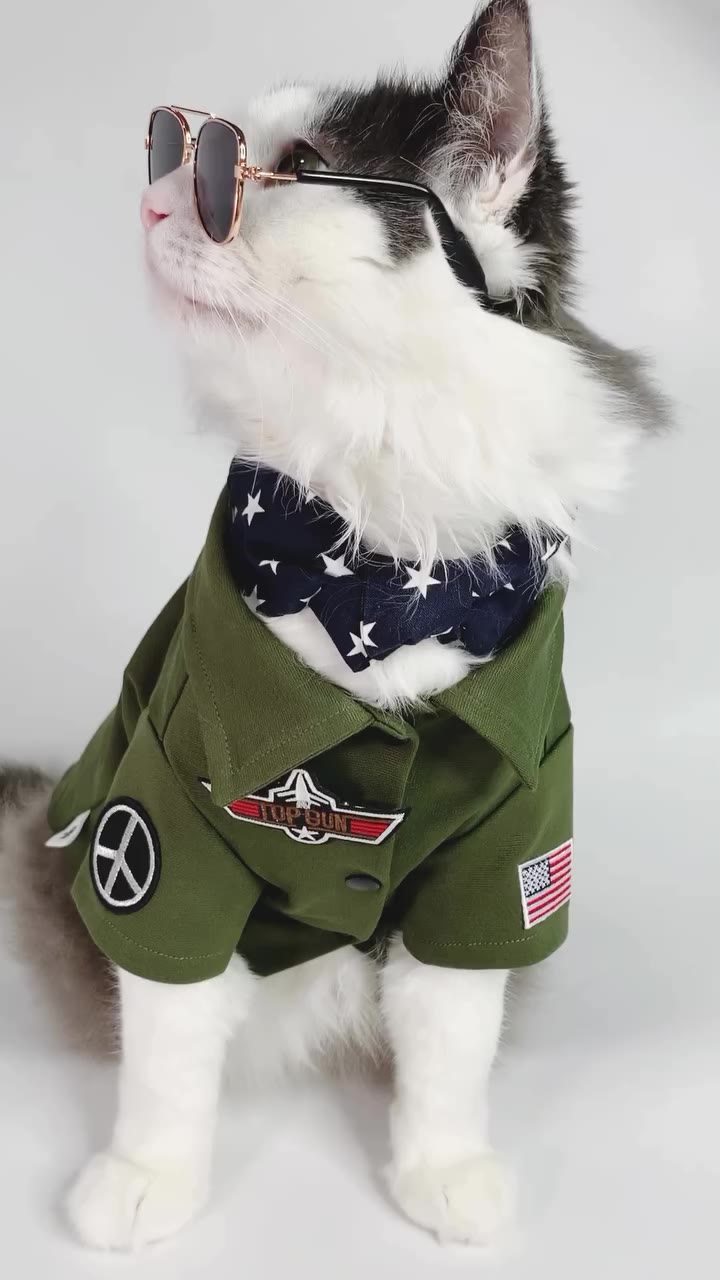 ⭐️Maverick Boxley🤭 . ❣️Top Gun Costumes @icecreamtreestudio .